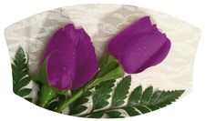 DNSWILL 053 2 Roses Orchid